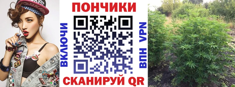 Канабис OG Kush цены Киренск
